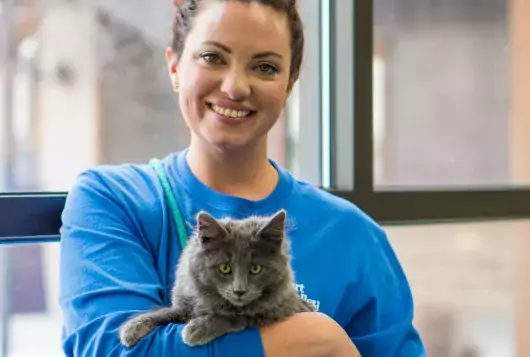 Photo of Kate McCarthy holding a gray cat
