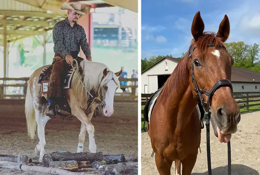 man in cowboy hat riding a light colored horse and a second screen of a brown horse solo