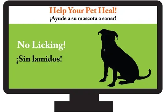 Silhouette of a dog with "Help your Pet Heal"