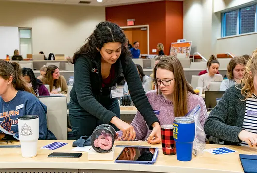 two veterinary students work together at a desk in a room full of trainees, one student stands to assist the other 