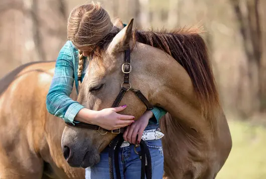 a person wearing a blue sweatshirt hugs a tan horse