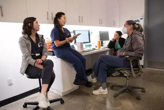 Four veterinary staff members sit in a lab having a meeting in front of a desktop computer