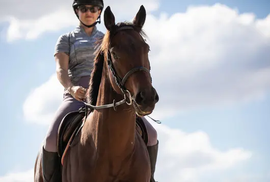 a person rides a brown horse wearing a helmet and sunglasses on a sunny day