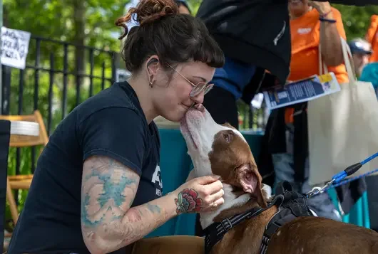 Woman in a black shirt kneeled down embracing a brown and white dog