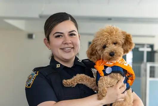 Police officer holding a small brown dog