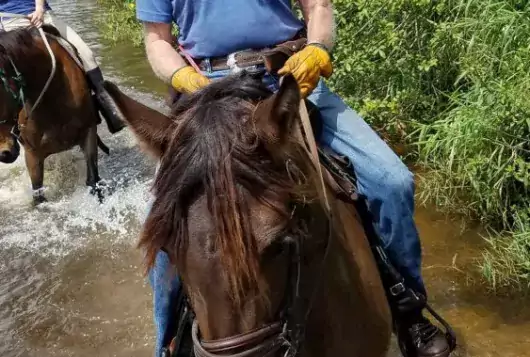 man on horse in water