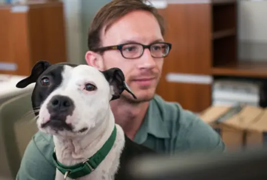 man with dog at computer