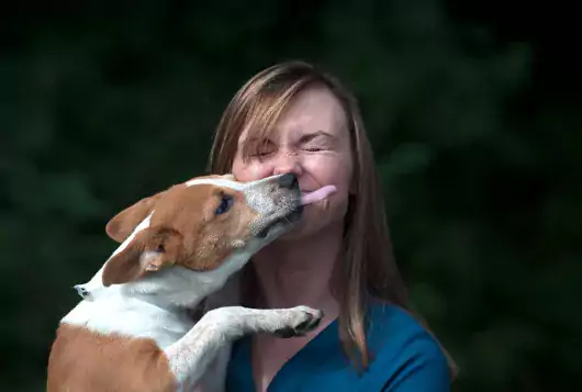 woman being licked in the face by dog and smiling