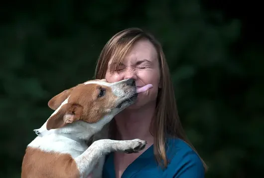 woman being licked in the face by dog and smiling