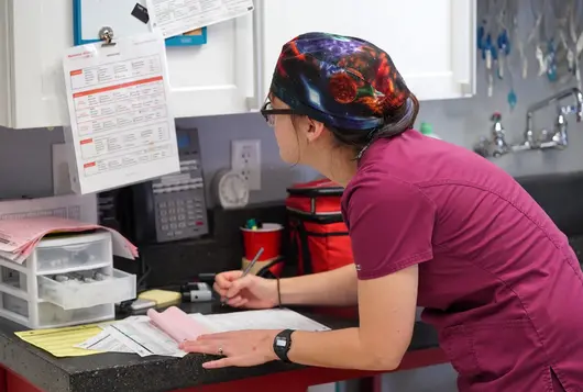 vet tech fills out paperwork