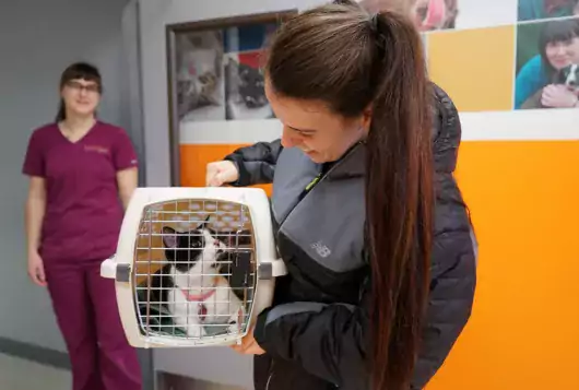 woman with cat in carrier leaves vet as woman in scrubs looks on, smiling
