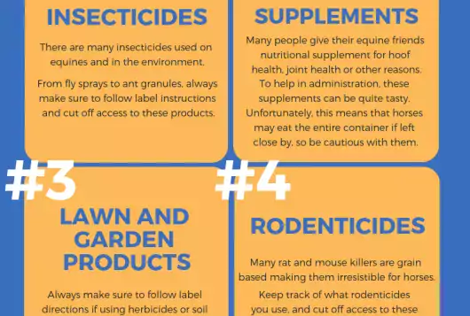 blue and yellow infographic of equine top toxins for 2018