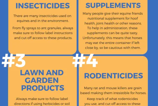 blue and yellow infographic of equine top toxins for 2018