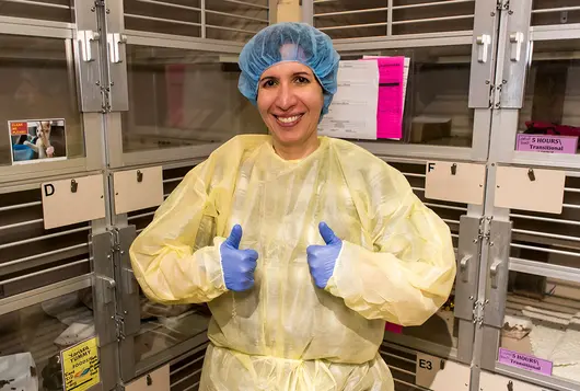 animal medical staff wearing yellow protective gear