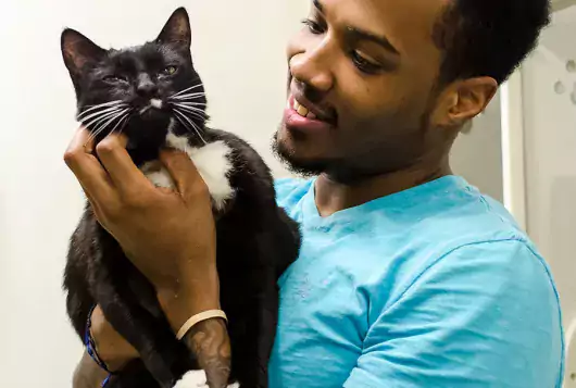 man in blue tee holding black and white cat
