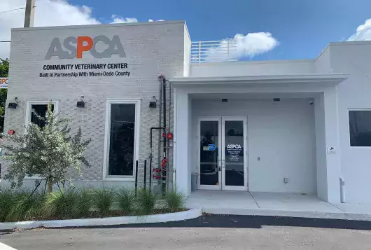 exterior of the white, single story ASPCA veterinary center in Miami blue skies