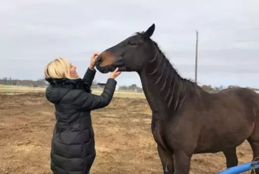 ellen rawlins standing next to a brown horse