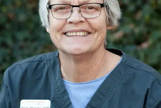 rebecca rhoades