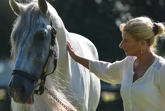 yvonne with white and gray horse