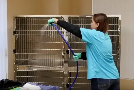 Cleaning dog kennel with bleach top