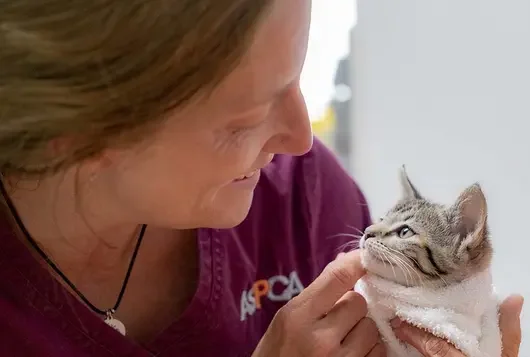 woman wearing maroon scrubs holds kitten bundled in clean towel smiling