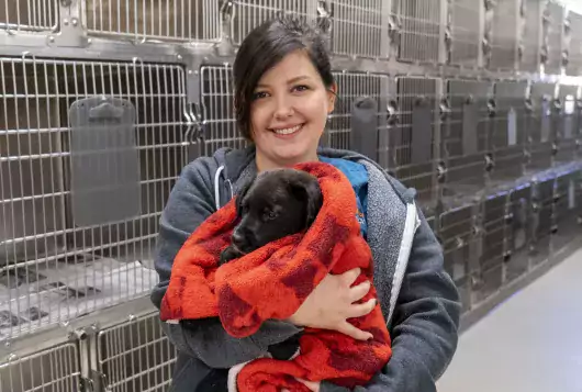 Staff holding puppy in kennels