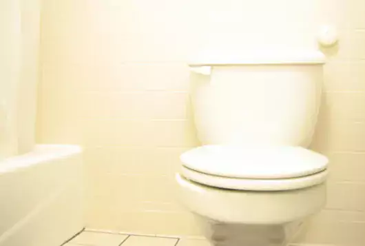 Toilet bowl in a bathroom