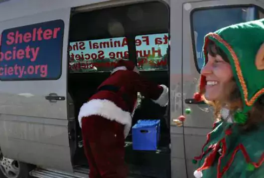 Shelter workers dressed in holiday costumes