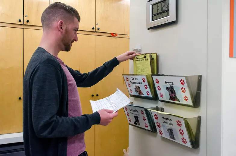 staff looking at files in animal shelter