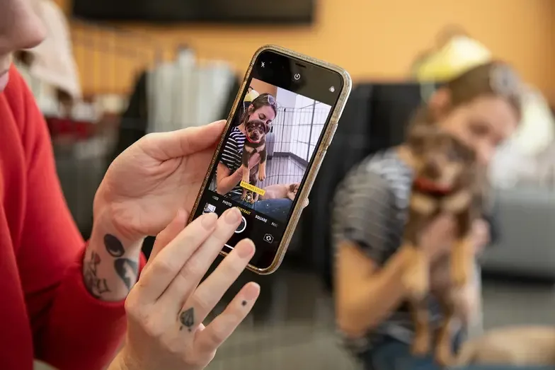 person taking phone picture of puppy