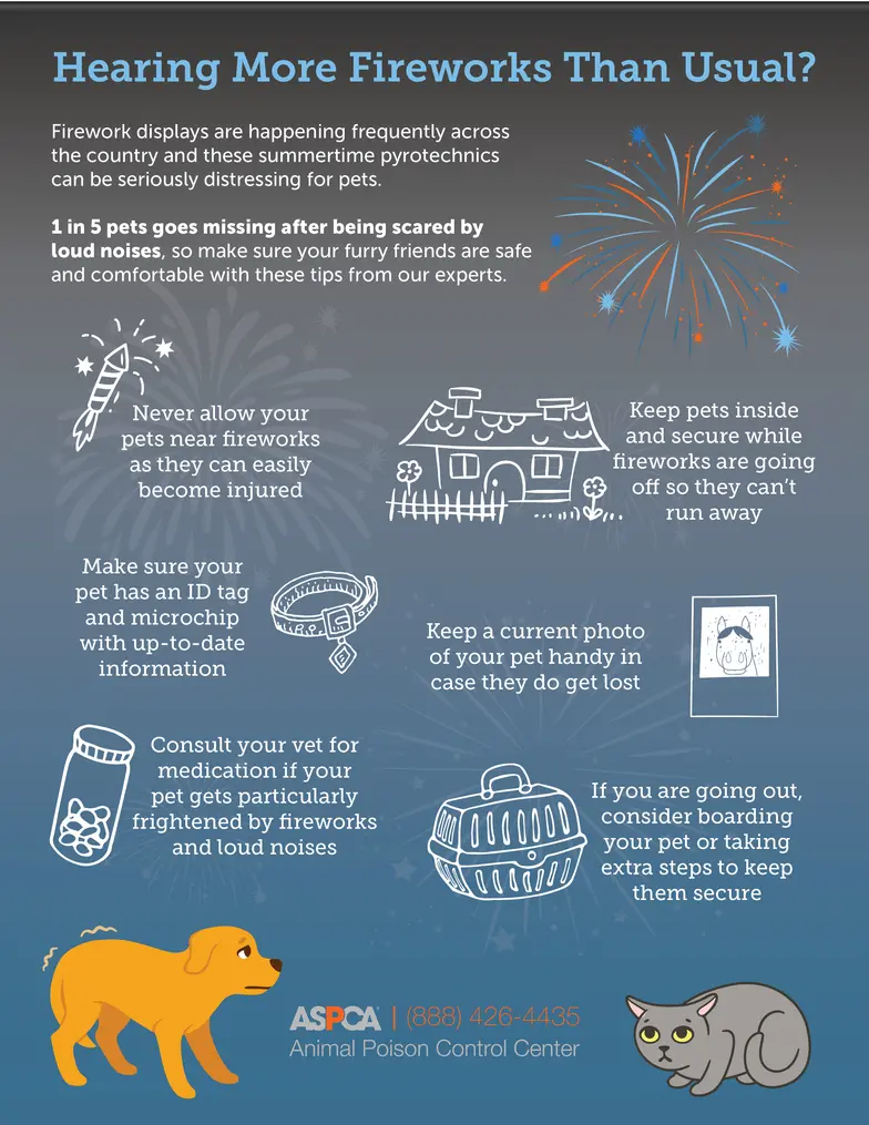Fireworks safety poster