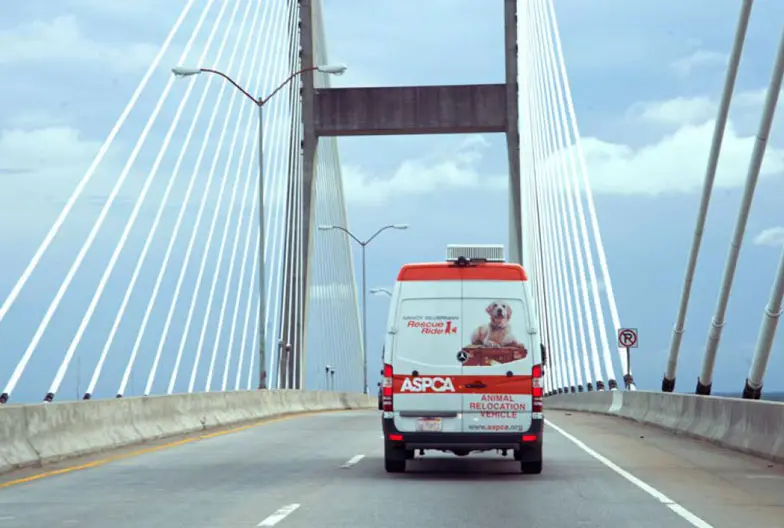 relocation van on bridge