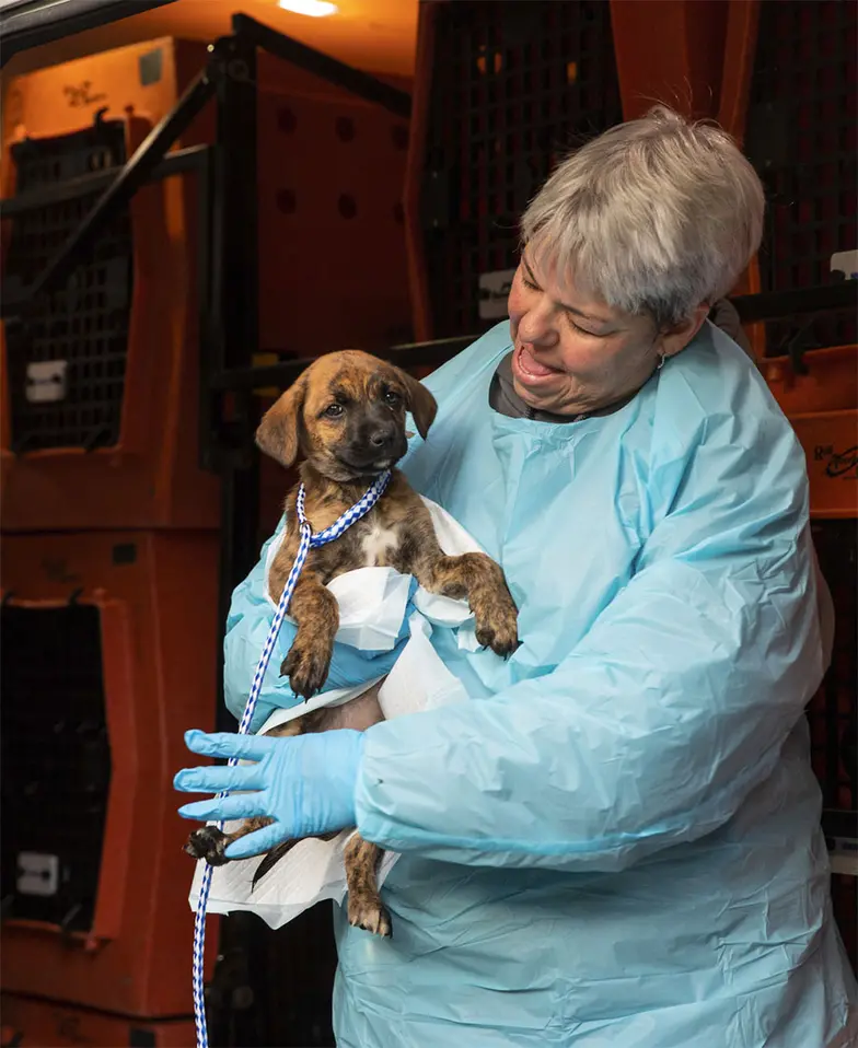 staff holding puppy on transport van