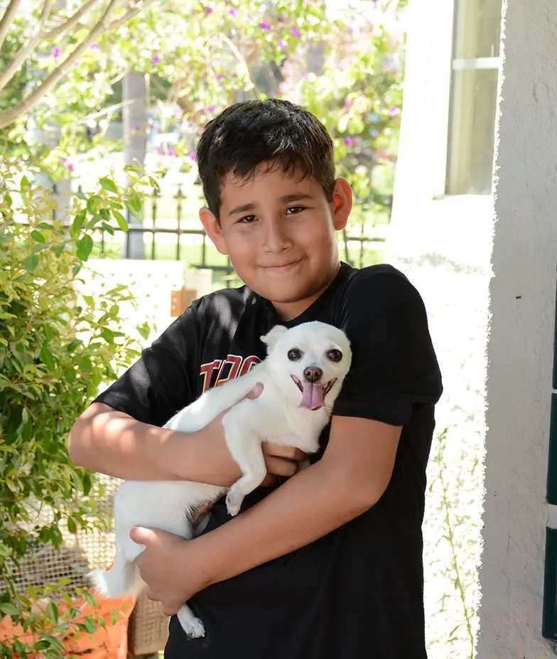 little boy holding small white dog outdoors