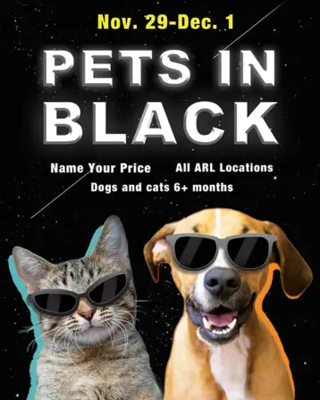 black friday pets in shades