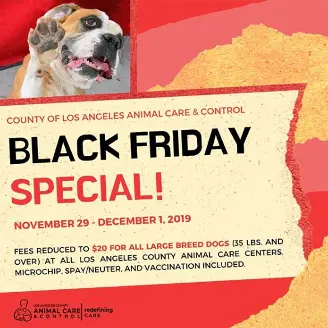 black friday from los angeles