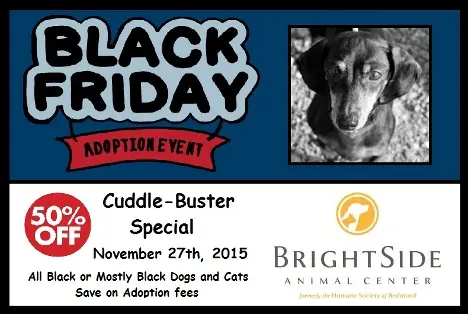 redmond or black friday promo