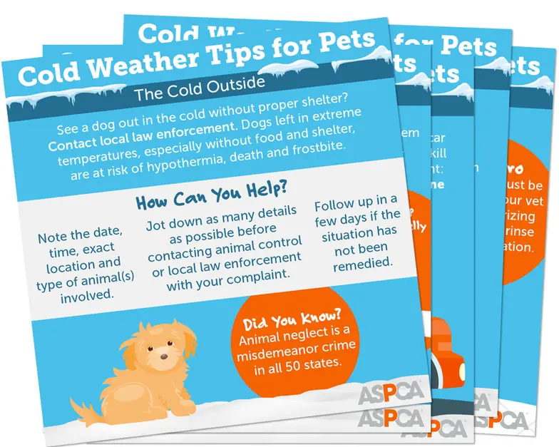stack of cold weather graphics tips
