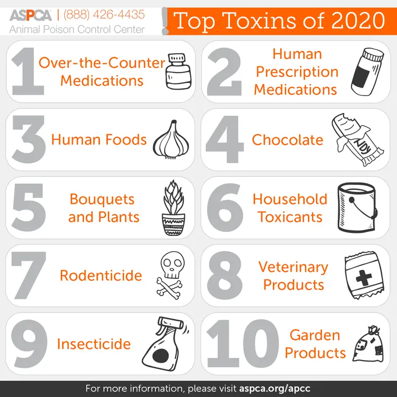 orange and gray list of top animal toxins for 2020