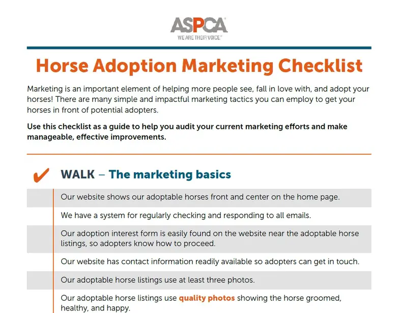 horse marketing checklist screenshot