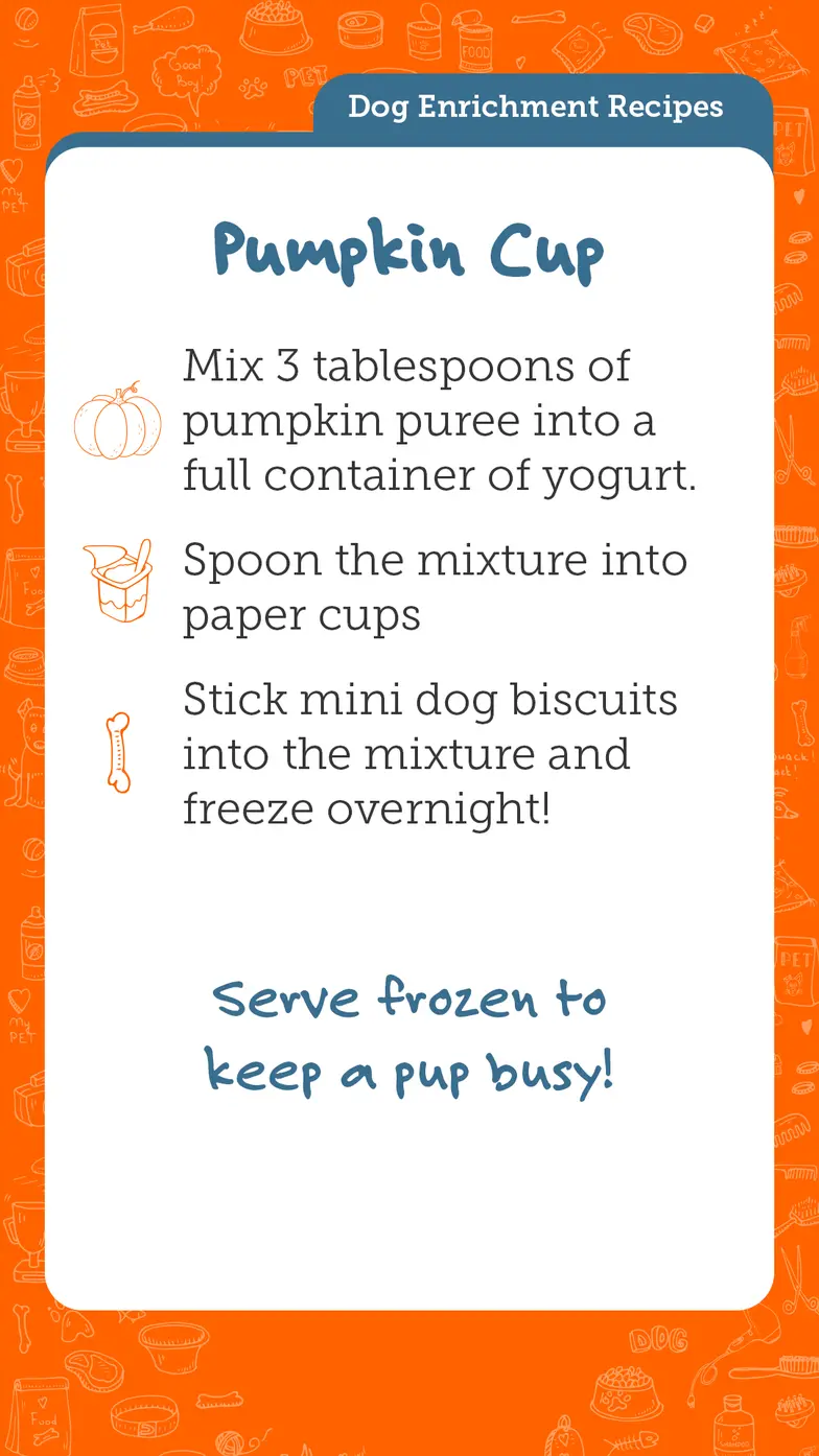 Dog treat and enrichment recipes