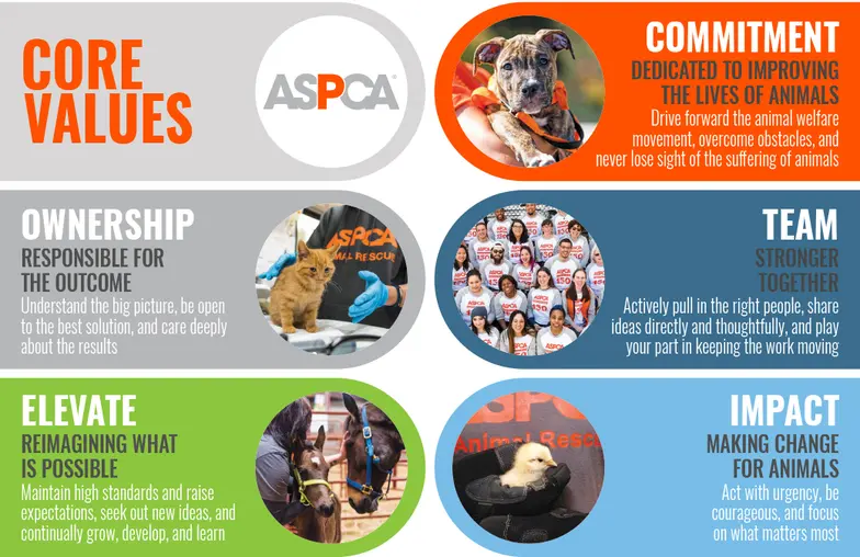 Aspca emotional cheap support animal