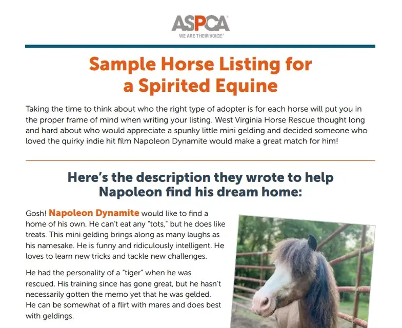 screenshot of the sample horse listing download