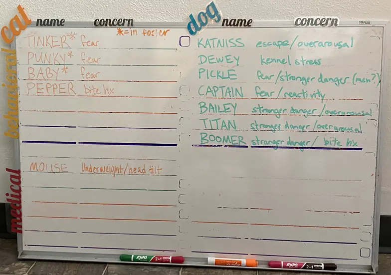 Whiteboard used by HSWM