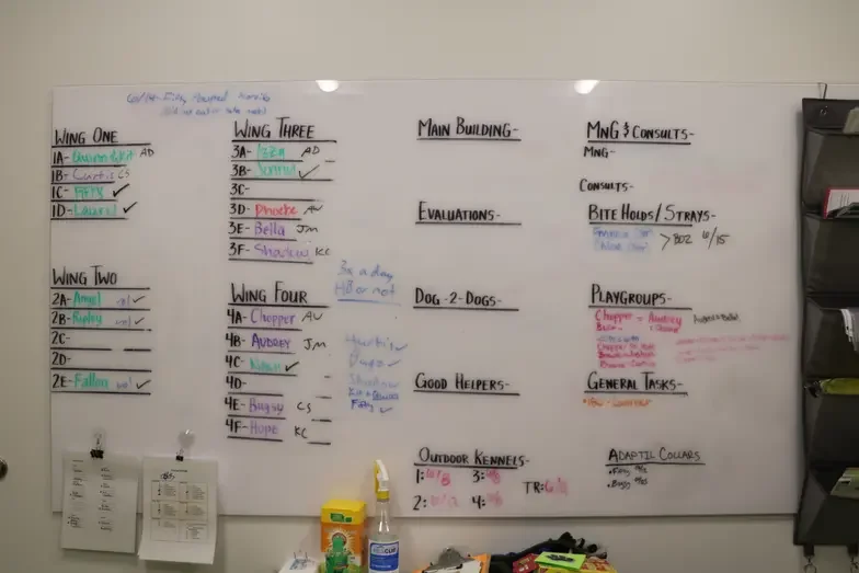Wayside Waifs canine enrichment board