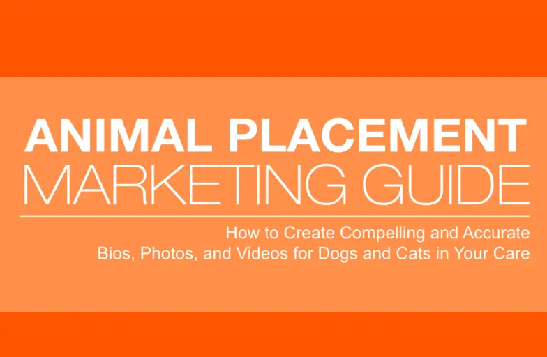 orange and white cover featuring title of download Animal Placement Marketing Guide