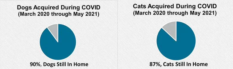 pie charts comparting pets in home after March 2020