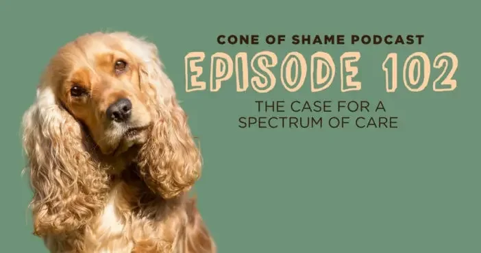 cocker spaniel type dog on green background with words cone of shame podcast episode 102