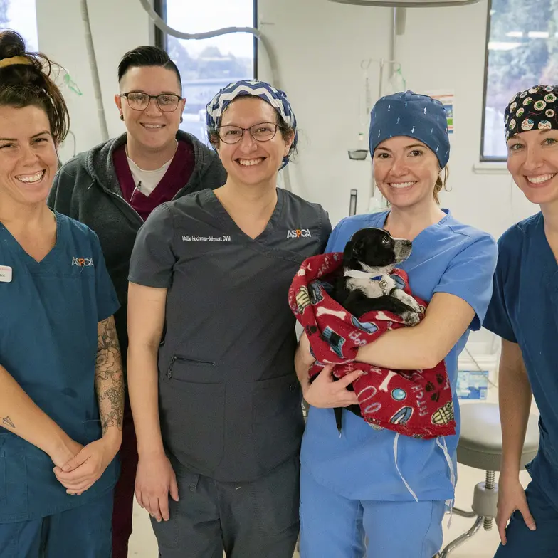 ASNA staff celebrate their 500,000th patient