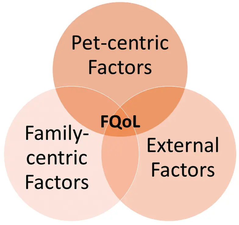venn diagram of factors contributing to family quality of life